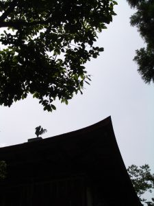 日本の線 | 東山慈照寺