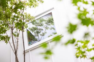 雨に香る家 | 中庭リビング窓 | 新築戸建